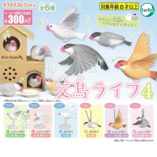 ガチャガチャ　文鳥ライフ 4　（1個）　9999224　BIRDMORE　バードモア