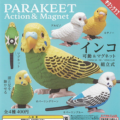 インコ 可動 ＆ マグネット 全4種+ディスプレイ台紙セット 奇譚クラブ ガチャポン ガチャガチャ ガシャポン コンプリート