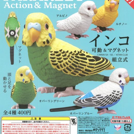 ガチャガチャ インコ 稼働＆マグネット PARAKEET Action & Magnet BIRDMORE　バードモア