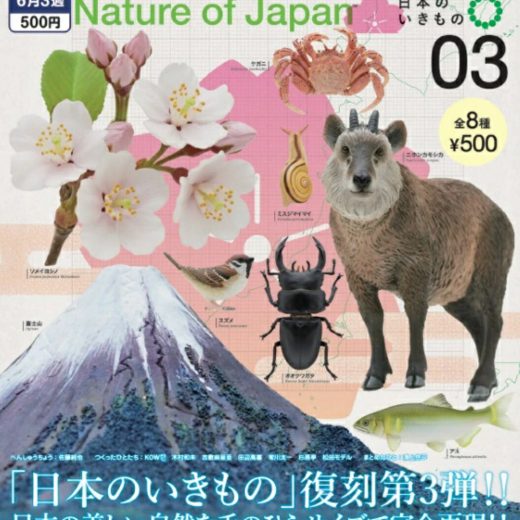 NATURE OF JAPAN 日本のいきもの3 全8種セット 【2025年6月予約/コンプリート】