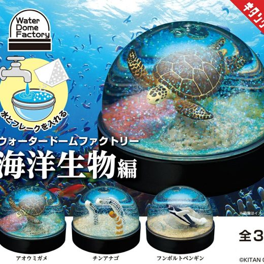 WaterDomeFactory 海洋生物編 全3種コンプリートセット