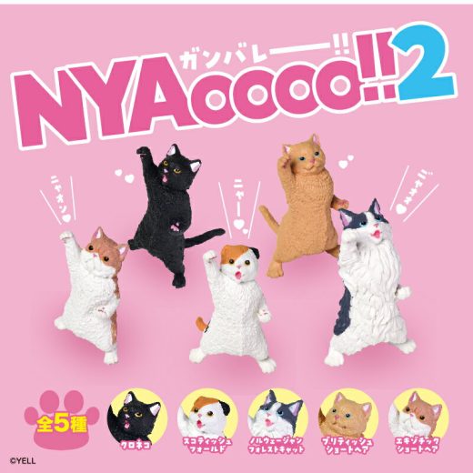 5種セット NYAoooo!!2 コンプリート 箱入り フィギュア ネコ おもしろ ガチャガチャ 猫 ひまつぶし がちゃ デスク 机 玄関 エール にゃんこ ガンバレー