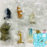 合掌 GASSHO 5拝　全5種セット　フィギュア　サイ　コーギー　ラーテル　仔ヤギ　ミーアキャット【在庫品】[再販] A-1