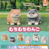 むちむちわんこ スタンド・ストーンズ 【全6種フルコンプセット】 MUCHIMUCHI WANKO 犬 フロッキー仕様 グッズ フィギュア 柴犬 ガチャガチャ カプセルトイ【即納 在庫品】【数量限定】【フルコンプリート】