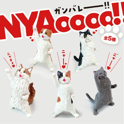 【全5種類セット】ガチャ ガチャガチャ コンプリート 中身 動物 猫 ネコ かわいい フィギュア おもちゃ [ NYAoooo!! ] ミケ スコティッシュフォールド エキゾチック ブリティッシュ ノルウェージャン