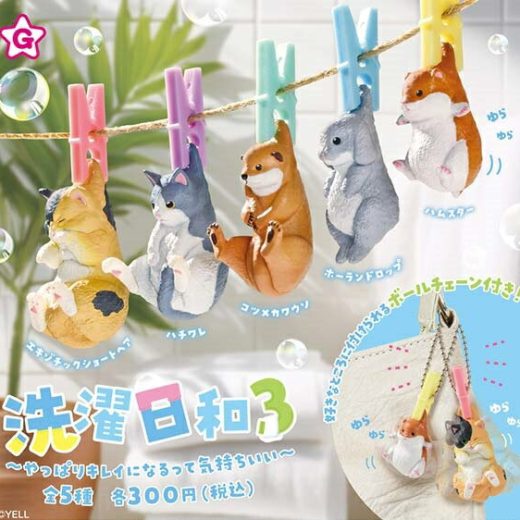 【8月発売予定】 洗濯日和3 【全5種セット】 ※仮予約※