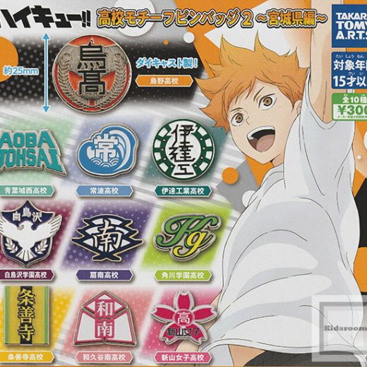 【コンプリート】ハイキュー！！高校モチーフピンバッジ2 〜宮城県編〜 ★全10種セット