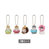 【予約商品 5月発売予定 】mofusand ドーナツにゃんマスコット 全5種 セット コンプリート ガチャ がちゃ
