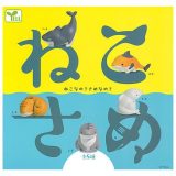 ねこさめ × 全5種セット フルコンプ ガチャガチャ カプセルトイ