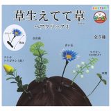 アミューズ AMUFUN 草生えてて草 ヘアクリップ3 × 全5種セット フルコンプ ガチャガチャ カプセルトイ