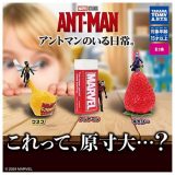 タカラトミーアーツ アントマンのいる日常。 × 全3種セット フルコンプ ガチャガチャ カプセルトイ