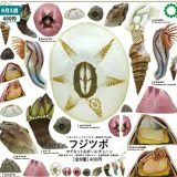 【8月発売予定】 NTC MONO+ フジツボ マグネット＆ボールチェーン 【全8種セット】 ※仮予約※