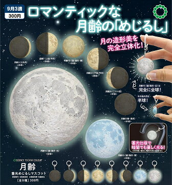 STC 月齢 蓄光めじるしマスコット 全8種セット コンプ コンプリートセット【2025年9月予約】