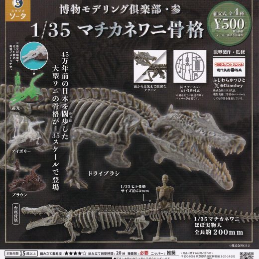博物モデリング倶楽部・参 1/35マチカネワニ骨格 【 全4種セット 】