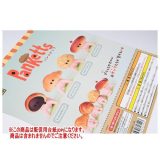 パンケッツ ［DP(台紙) ※商品は含まれません］[250515]【ネコポス配送対応】