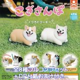 アニマルアトラクション こぎさんぽ スタンド・ストーンズ 【全8種フルコンプセット＋DP台紙おまけ付き】 ANIMAL ATTRACTION CORGI コーギー 犬 散歩 グッズ フィギュア ガチャガチャ カプセルトイ【即納 在庫品】【数量限定】【フルコンプリート】
