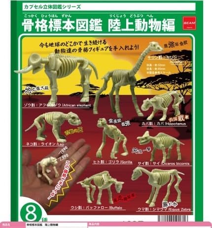 【骨格標本図鑑】 陸上動物編 ガチャガチャ カプセルトイ ビーム