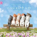 いっしょにねんね -にゃんこ-　全5種セット　カプセルトイ【在庫品】B-55