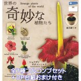 世界の奇妙な植物たち レインボー 【全7種フルコンプセット＋DP台紙おまけ付き】 Strange plants of the world ストレンジ プランツ オブ ザ ワールド グッズ フィギュア ガチャガチャ カプセルトイ【即納 在庫品】【数量限定】【フルコンプリート】