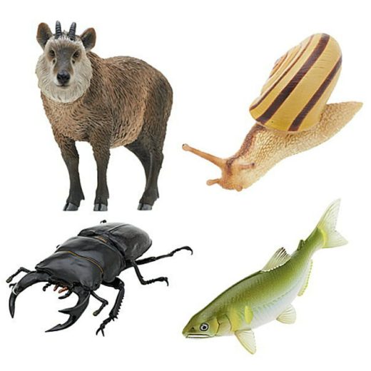 NATURE OF JAPAN 日本のいきもの03 4種セット 【在庫品】