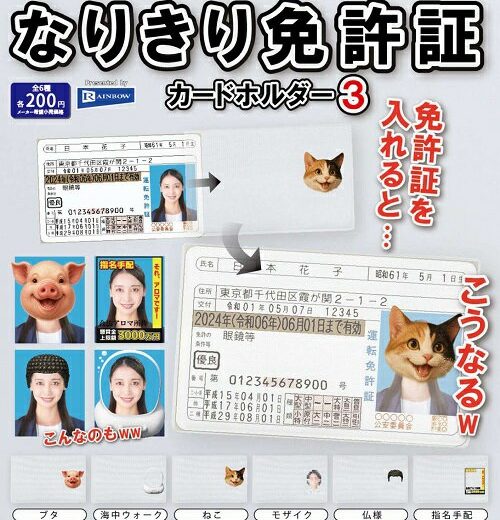 【10月発売予定】 なりきり免許証 カードホルダー3 【全6種セット】 ※仮予約※
