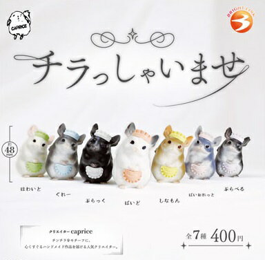 【9月発売予定】 チラっしゃいませ 【全7種セット】 ※仮予約※