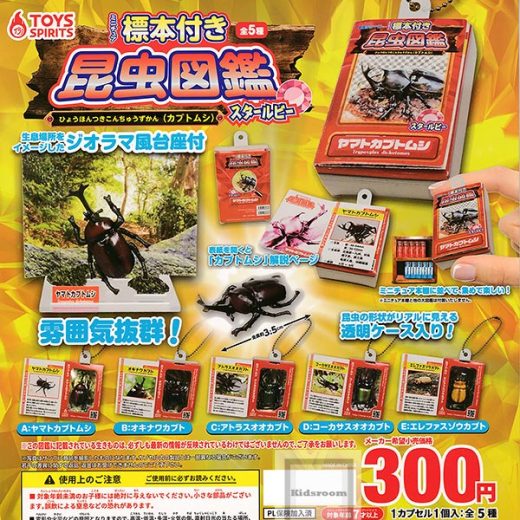 【コンプリート】ミニチュア標本付き 昆虫図鑑 カブトムシ スタールビー ★全5種セット