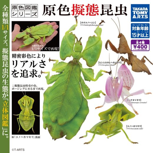 【送料無料】原色図鑑シリーズ 原色擬態昆虫 全4種セット【クリックポスト出荷】