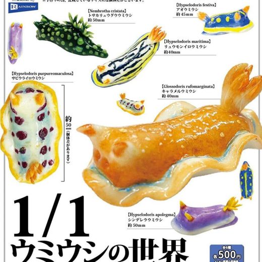 【10月予約】【送料無料】1/1 ウミウシの世界 全6種 コンプリート