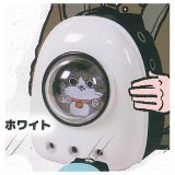ねこに転生したおじさん×どこでもいっしょ♪あにまるリュック [1.ホワイト]【 ネコポス不可 】【C】