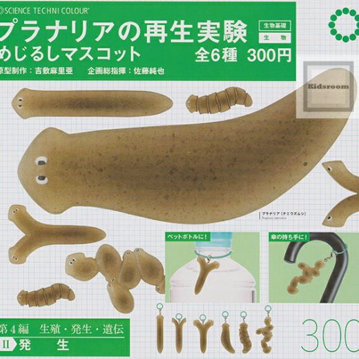 【単品】サイエンステクニカラー プラナリアの再生実験 めじるしマスコット