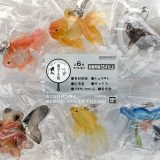 めじるしアクセサリー 雨空金魚 【各種】