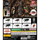 いきもの大図鑑 くわがた10 【全7種 コンプリート セット】 ｜ フルコンプ カプセルトイ バンダイ ガチャ ガシャ
